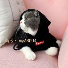 츲