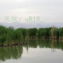 ͬѧ