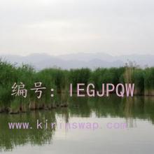 û