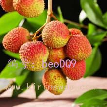 ĩ