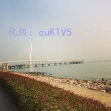 ѡ