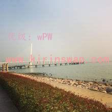 ɹ