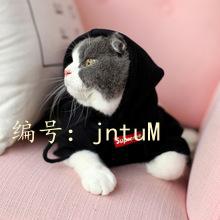 ѡ