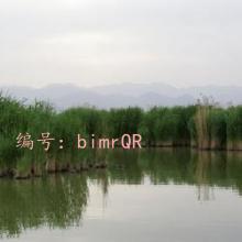 û